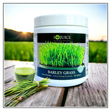 Load image into Gallery viewer, iJuice Barley Grass