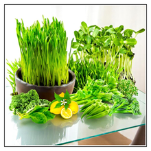 Load image into Gallery viewer, iJuice SuperGreens