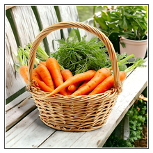 Load image into Gallery viewer, iJuice Carrot
