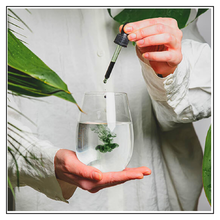 Load image into Gallery viewer, pH Miracle® Liquid ChloropHeal (Chlorophyll)