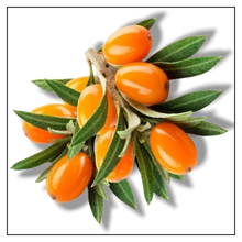 Load image into Gallery viewer, iJuice Sea Buckthorn