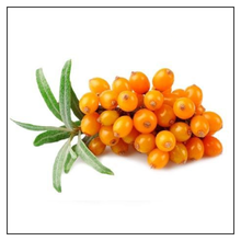 Load image into Gallery viewer, iJuice Sea Buckthorn