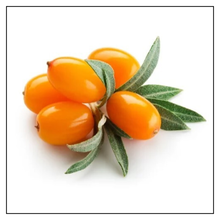 Load image into Gallery viewer, iJuice Sea Buckthorn