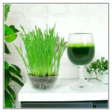 Load image into Gallery viewer, iJuice Barley Grass