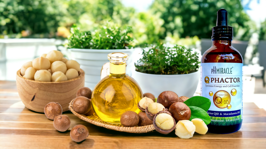 Benefits of Coenzyme Q10 (CoQ10) with Macadamia Oil