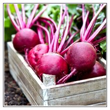 Load image into Gallery viewer, iJuice Beet