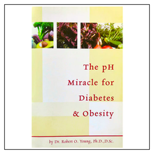 Load image into Gallery viewer, The pH Miracle for Diabetes &amp; Obesity - Booklet