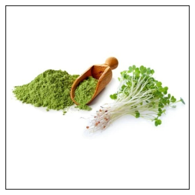 iJuice Alfalfa Sprouts ph Miracle Products